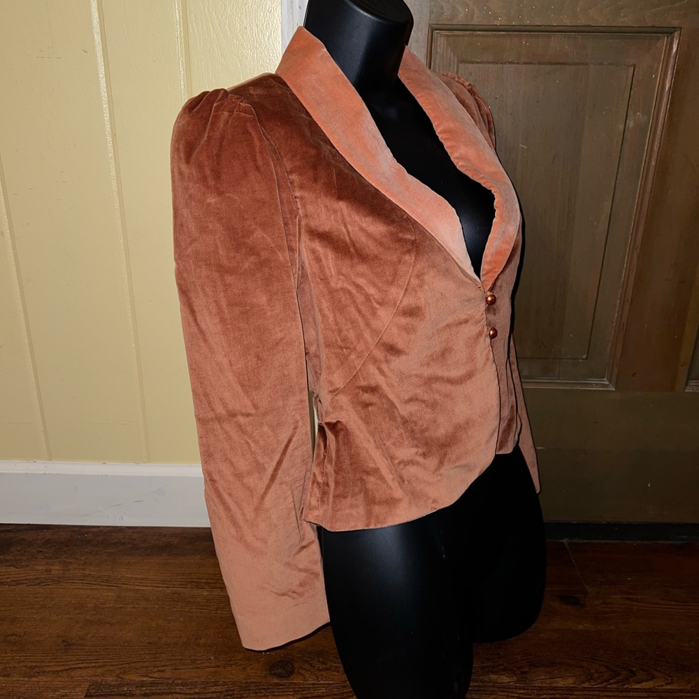 Vintage Strawberry Plant Tan Velvet Long Puffed Sleeve Blazer Jacket Size 3-4 - Picture 4 of 13
